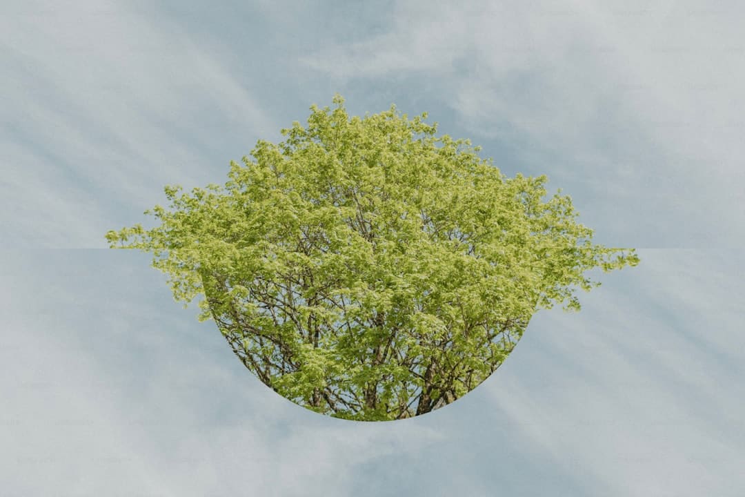 莲花控股:累计回购股份数量约为2497万股